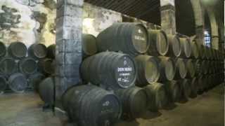 Sherry Wine of Andalucía [upl. by Brenza]