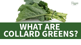 What Are Collard Greens [upl. by Znieh175]