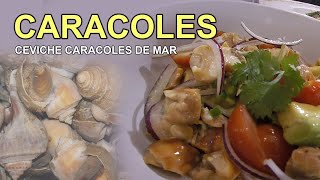 CEVICHE DE CARACOLES DE MARcomo hacerlo [upl. by Fraze959]