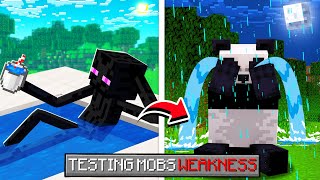 I Tested Every Minecraft Mobs WEAKNESS [upl. by Nayab]