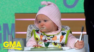 Baby experts share tips on how to successfully feed fussy eaters l GMA [upl. by Seuqramed850]