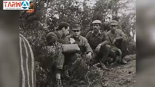 Vidéo rare sur la guerre dAlgérie [upl. by Manolo]