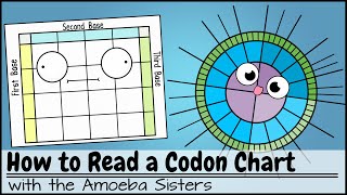 How to Read a Codon Chart [upl. by Crandale]