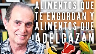 Episodio 34 Alimentos Que Te Engordan Y Alimentos Que Adelgazan [upl. by Mcripley]