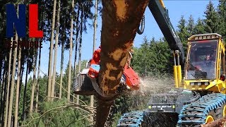 World of Modern Forest Machinery  Amazing Wooden Cutting Machines [upl. by Leffen]