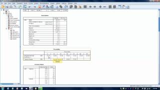 How to Use SPSS Data Exploration [upl. by Dachia]