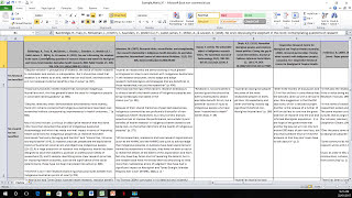 How to Create a Literature Matrix Excel [upl. by Yasdnyl]