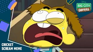 Big City Greens  Cricket Scream Meme [upl. by Betteann575]