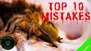 TOP 10 Mistakes Keeping Tarantulas amp Spiders  DONT DO THIS [upl. by Anowahs]