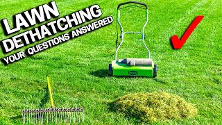 DONT DETHATCH Your LAWN Before Watching  Your Questions Answered [upl. by Gamages]