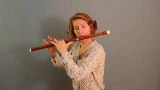 Dizi  chinese bamboo flute [upl. by Nove]