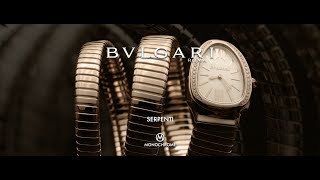 Bulgari Serpenti  The Story Behind One of the Most Iconic Ladies Watches Ever [upl. by La]