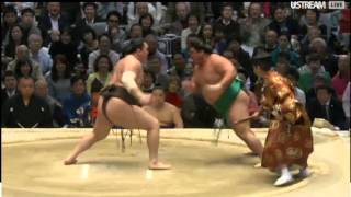 Haru16 Day 08 Yoshikaze vs Hakuho [upl. by Ahsino]