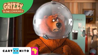 Grizzy and the Lemmings  Zorbing  Cartoonito Africa [upl. by Prober438]