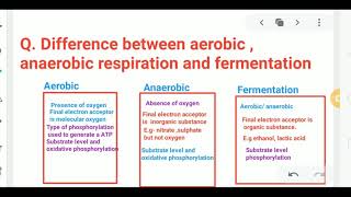 Difference between Aerobic  Anaerobic Respiration and fermentation [upl. by Wailoo]