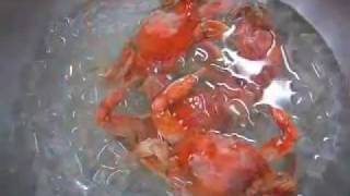 How to Boil Blue Crabs [upl. by Oralle414]