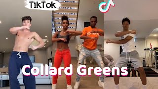 Collard Greens ScHoolboy Q  TikTok Dance Challenge Compilation [upl. by Akcinahs]