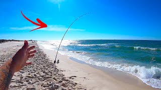 SUCCESSFUL Beach Fishing Tips for Gulf Shores AL [upl. by Sherris653]