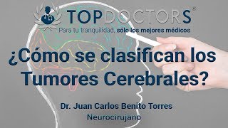 ¿Cómo se clasifican los Tumores Cerebrales [upl. by Aisatna]