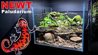 NEWT PALUDARIUM WATERFALL SETUP MOSS amp DETAILS  MD FISH TANKS [upl. by Olen]