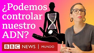 ¿Cómo podemos controlar nuestros genes  BBC Mundo [upl. by Odlaumor]