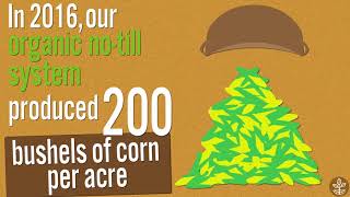 How does organic farming compare to conventional [upl. by Rana454]