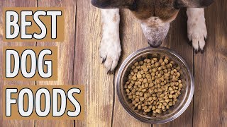 ⭐️ Best Dog Food TOP 10 Dog Foods 2019 REVIEWS ⭐️ [upl. by Ennovehc]