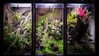 Aquarium to 10 Gallon Vertical Vivarium [upl. by Currey]