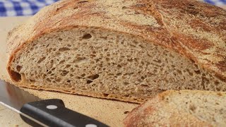 No Knead Rye Bread Recipe Demonstration  Joyofbakingcom [upl. by Kooima450]