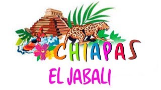 Chiapas  El Jabali [upl. by Ymmac]