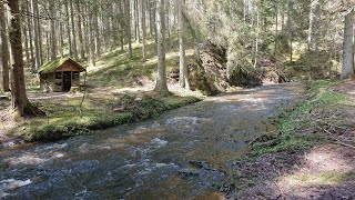 Südschwarzwald 105 km  5 Schluchten  Titisee Feldberg Schluchsee [upl. by Aicilic]