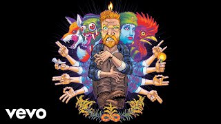 Tyler Childers  Peace of Mind Audio [upl. by Nnylatsirk]