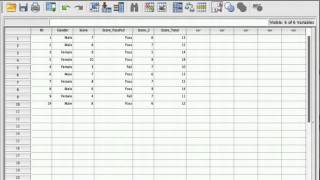 Tutorial Introduction to SPSS [upl. by Hume184]