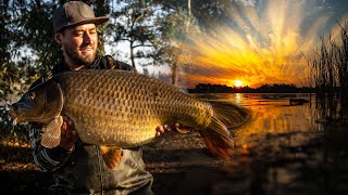 Big carp fishing at Homestead dam  Carp fishing South Africa 2021 [upl. by Bibbie]