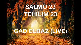 SALMO 23 GAD ELBAZ EN VIVO LYRICS ESPAÑOL FONETICA HEBREA [upl. by Birch774]