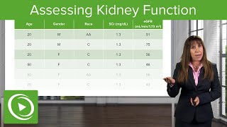 Assessing Kidney Function Glomerular Filtration Rate GFR Nephrology Lecturio [upl. by Melisent]