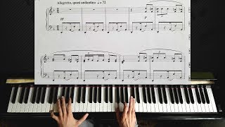 Habanera from quotCarmenquot by Bizet  Piano Tutorial [upl. by Wain]