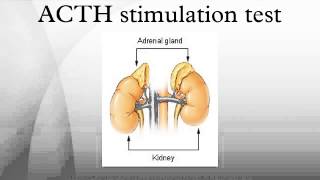 ACTH stimulation test [upl. by Genna925]