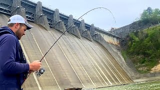 Fishing Below a Massive Dam For Anything That Will Bite [upl. by Buxton]