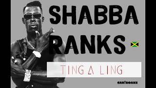 Shabba Ranks  Ting A Ling Dancehall Lyrics provided by Cariboake The Official Karaoke Event [upl. by Yrehcaz]