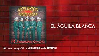 El Águila Blanca  Explosión Norteña Audio Oficial [upl. by Vacuva9]