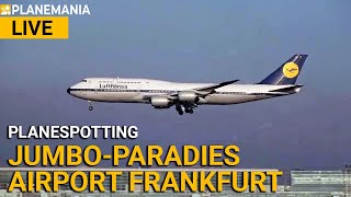 Planespotting LIVE Jumbo Paradies Airport Frankfurt [upl. by Ojoj]