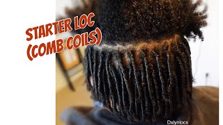 STARTER LOCS no gel no wax  WHAT TO EXPECT [upl. by Rita76]