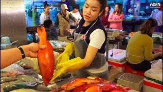 Sanya Fish Market  China  Hainan Island [upl. by Ayisan]