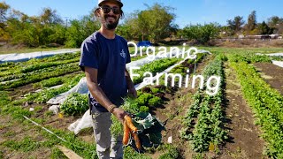 Simple Tips for starting an Organic Farm [upl. by Lehcor532]