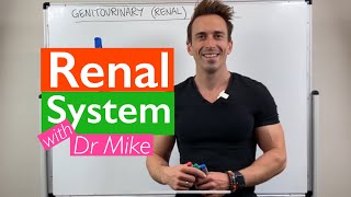 Renal System  Overview [upl. by Oliviero]