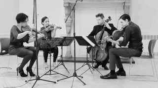 Philip Glass  String Quartet No 3 quotMishimaquot  VI [upl. by Baerman]