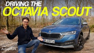 SUV Crossover estate party with the Skoda Octavia Scout REVIEW [upl. by Vudimir]