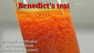 Benedicts test for reducing sugars [upl. by Foushee40]