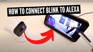 How To Connect Blink To Alexa [upl. by Brennan985]